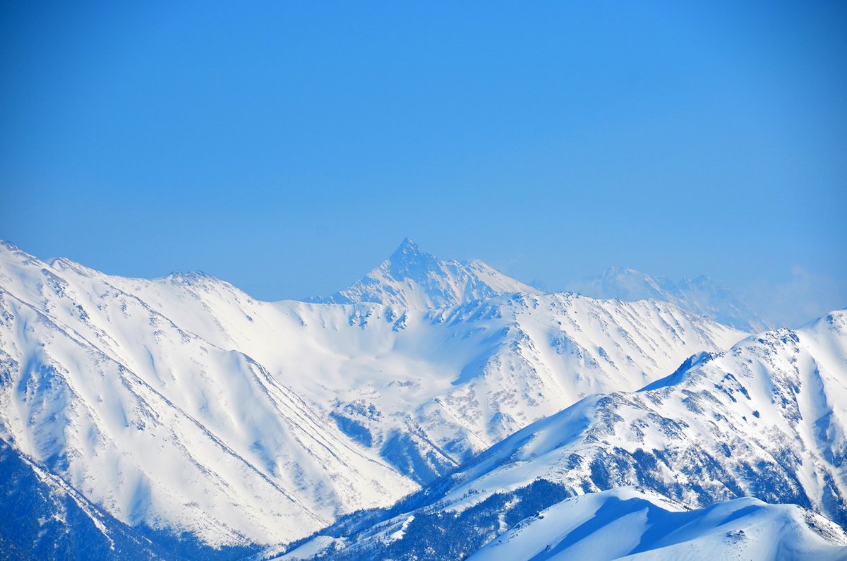 まるよ tweet media