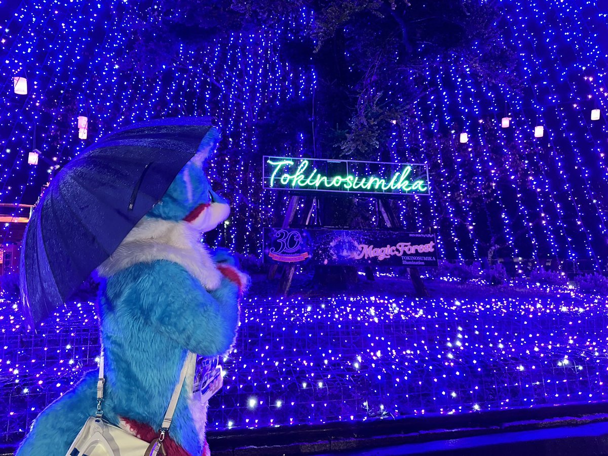 リーニル＠蒼🦊 tweet media