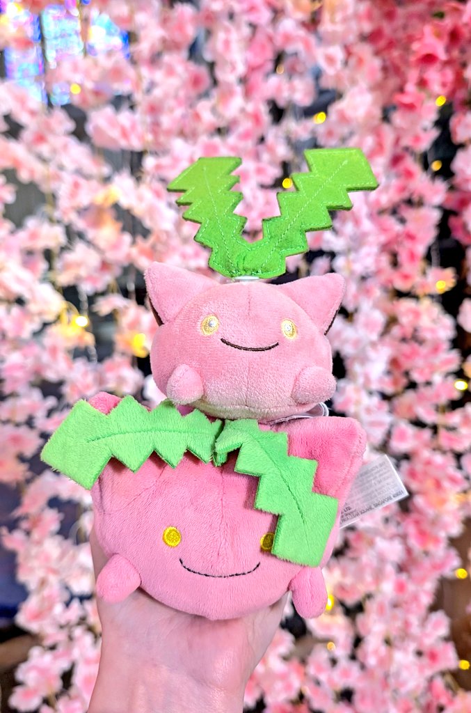 ✨🌸✨🌸✨