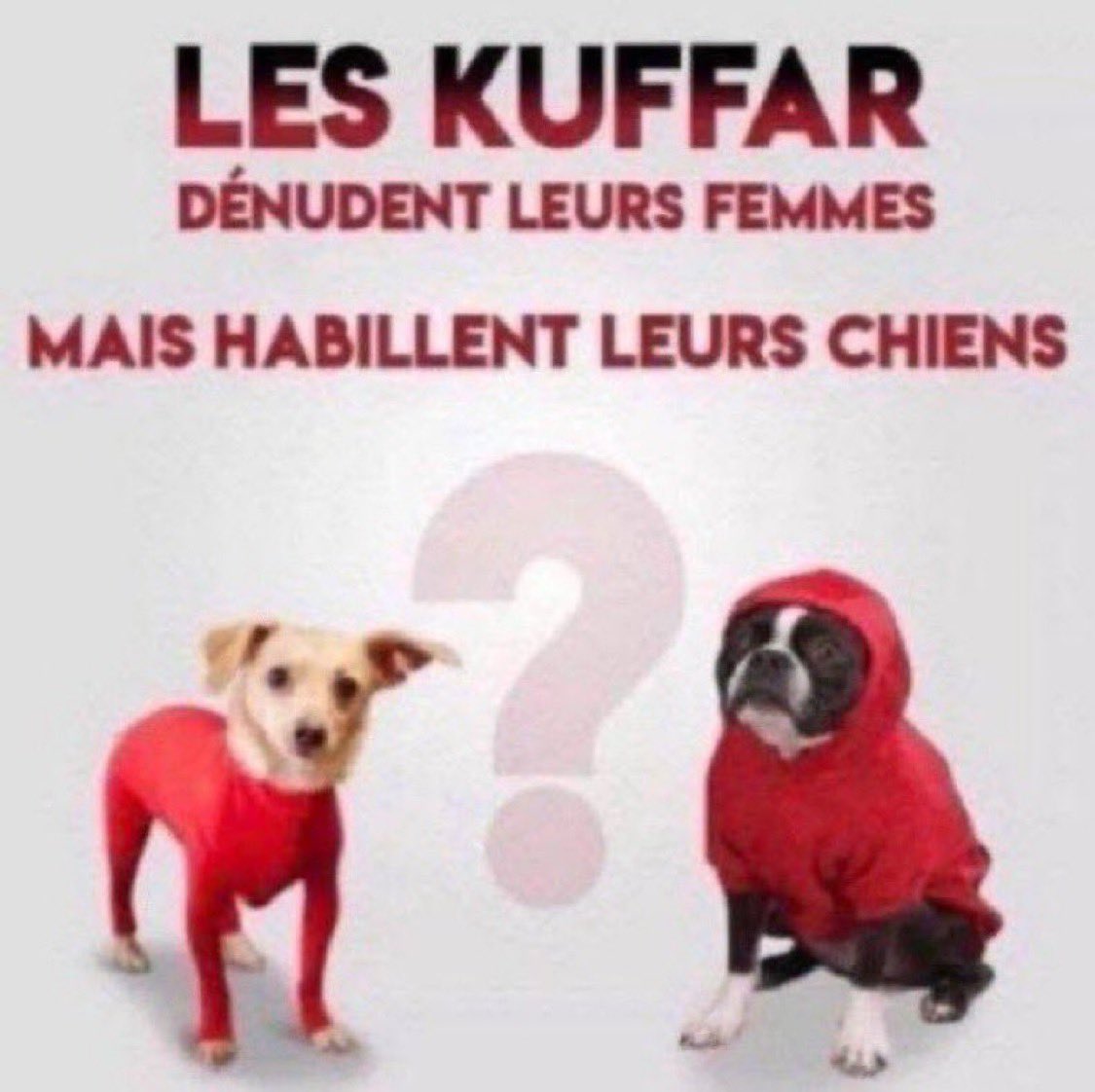 roi singe 🍂 tweet media