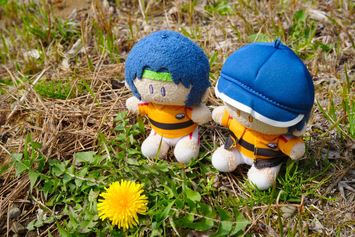 花見田ひかる🎾👑 tweet media