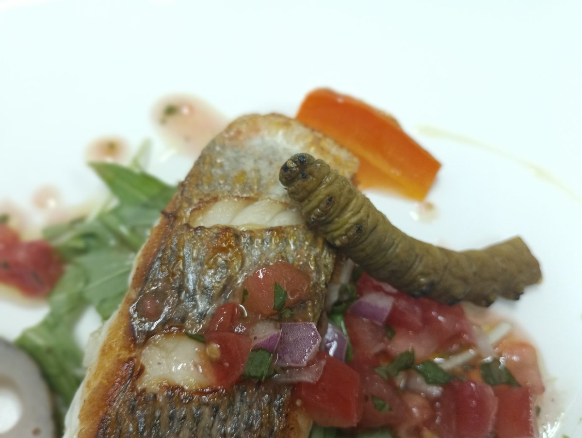 RIKYU@昆虫食レストラン tweet media