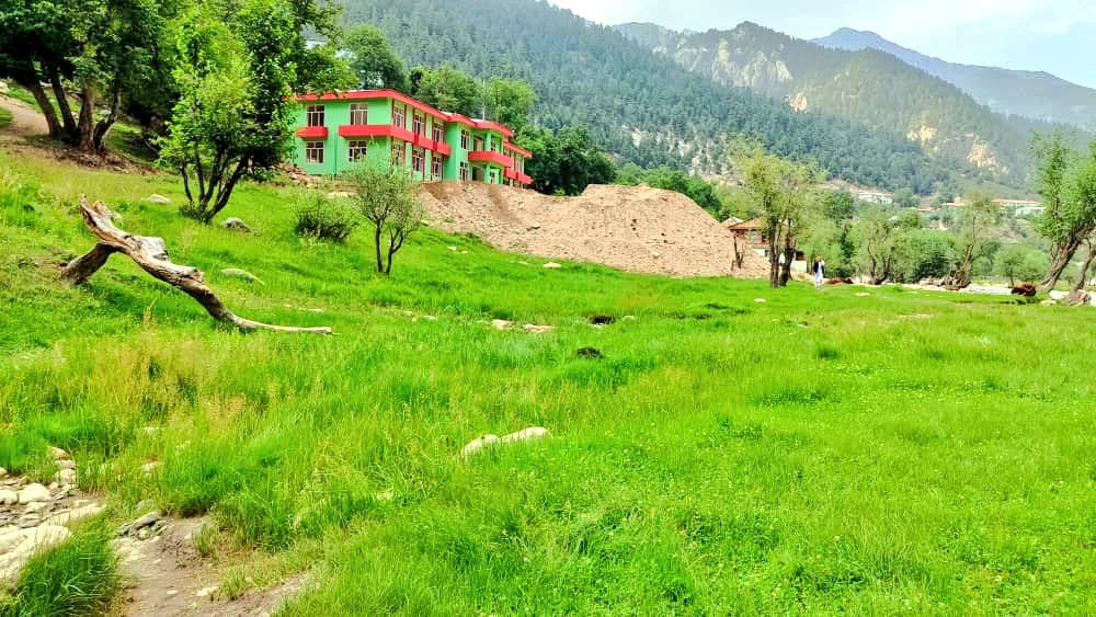 مدينه کابلۍ / Madina Kabuli tweet media