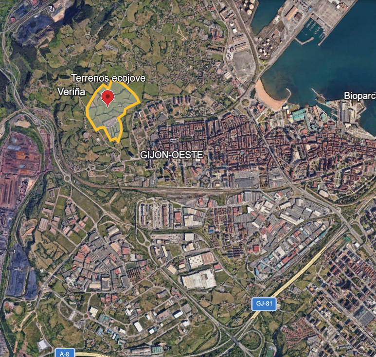 Dani Torres tweet media