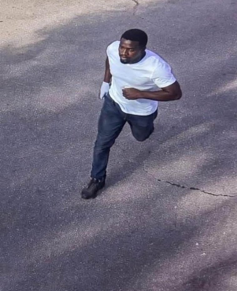 Slaughter. tweet media