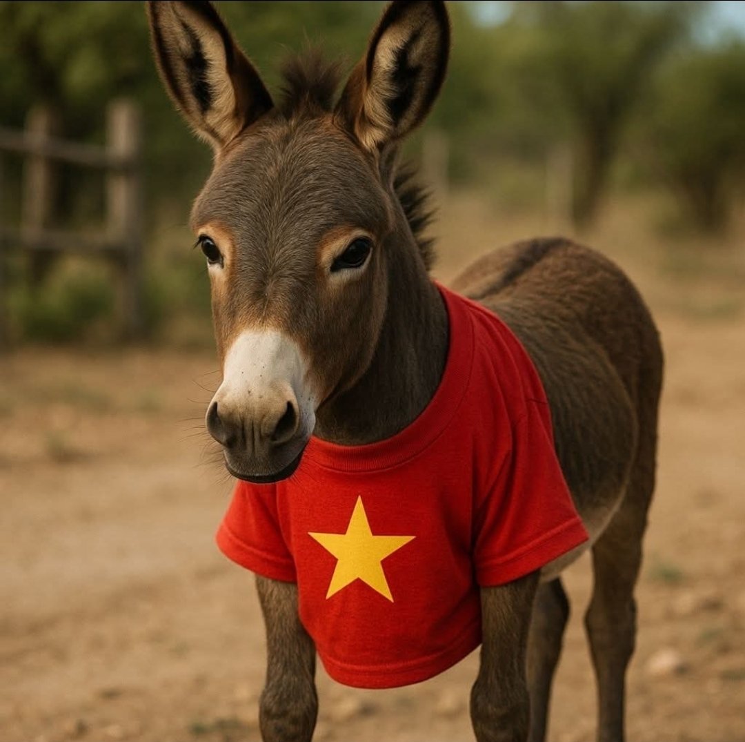 Robinson Willer tweet media