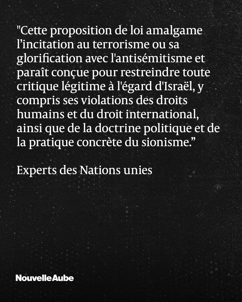 nouvelleaubefr's tweet image. Cinq experts mandatés par l'#ONU ont averti que la proposition de loi française sur l'antisémitisme de #Yadan et examinée jeudi à l'Assemblée nationale, risque de criminaliser toute critique légitime d'#Israël et d'étouffer le débat public sous couvert de lutte contre la haine.
