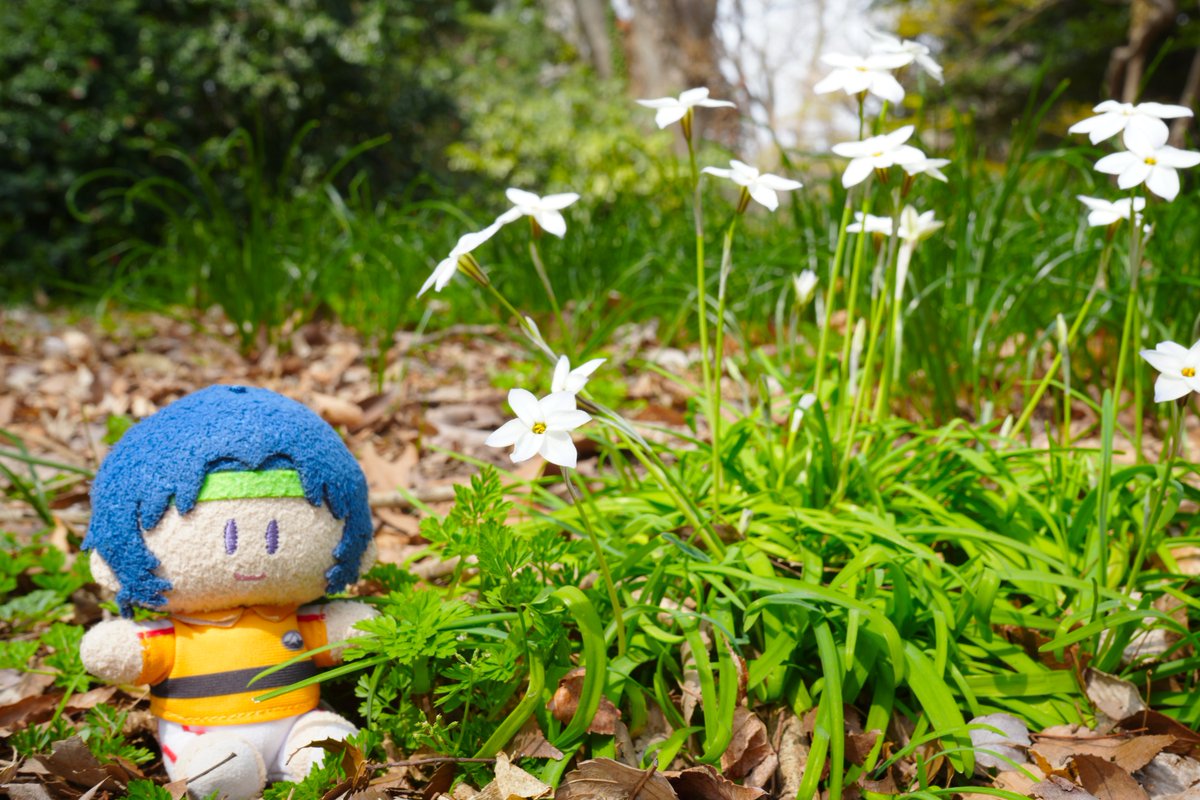 花見田ひかる🎾👑 tweet media