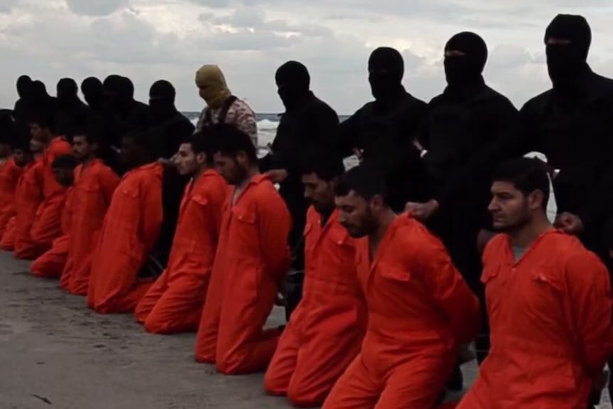 David J Harris Jr tweet media