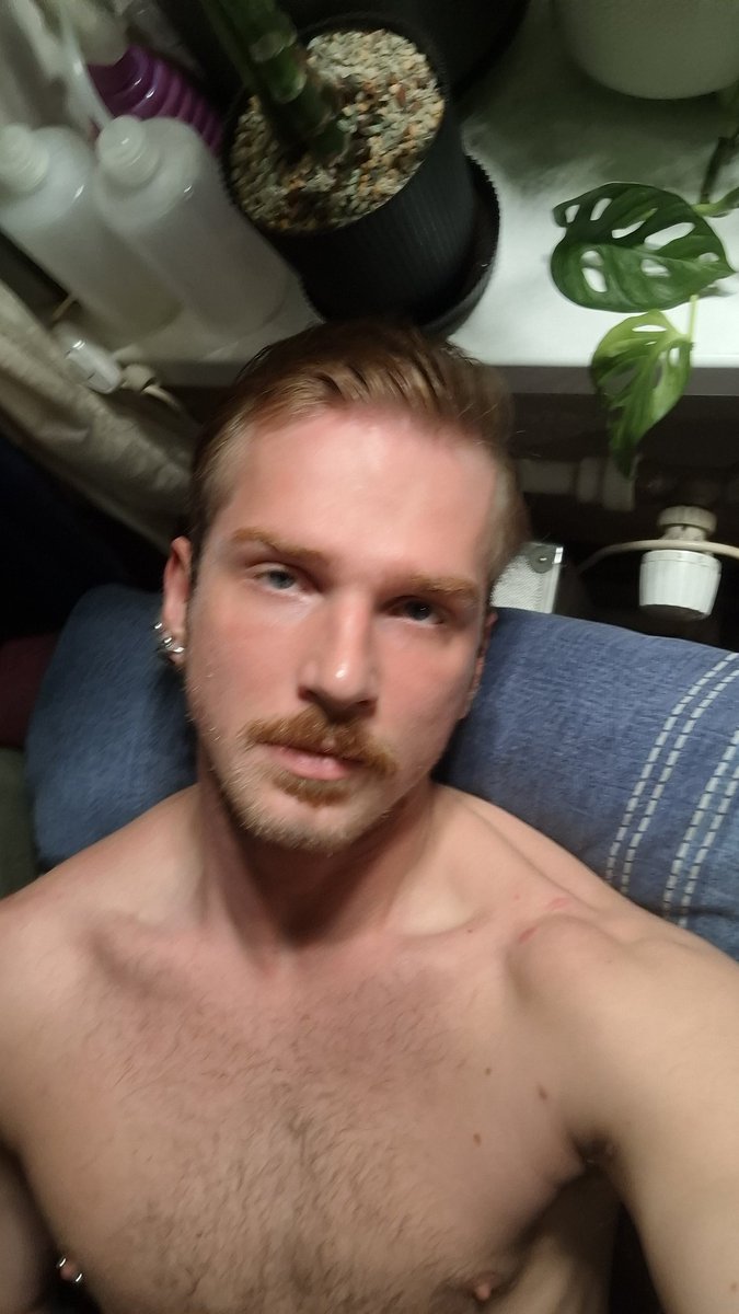 Собачье Посольство tweet media