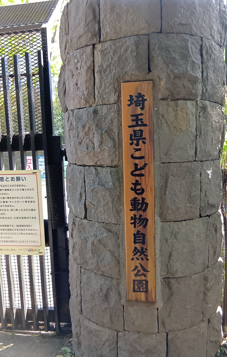 2026.4.12㈰
(*'ω'*)初めての入口🐭
#カピバラ　#こども動物自然公園