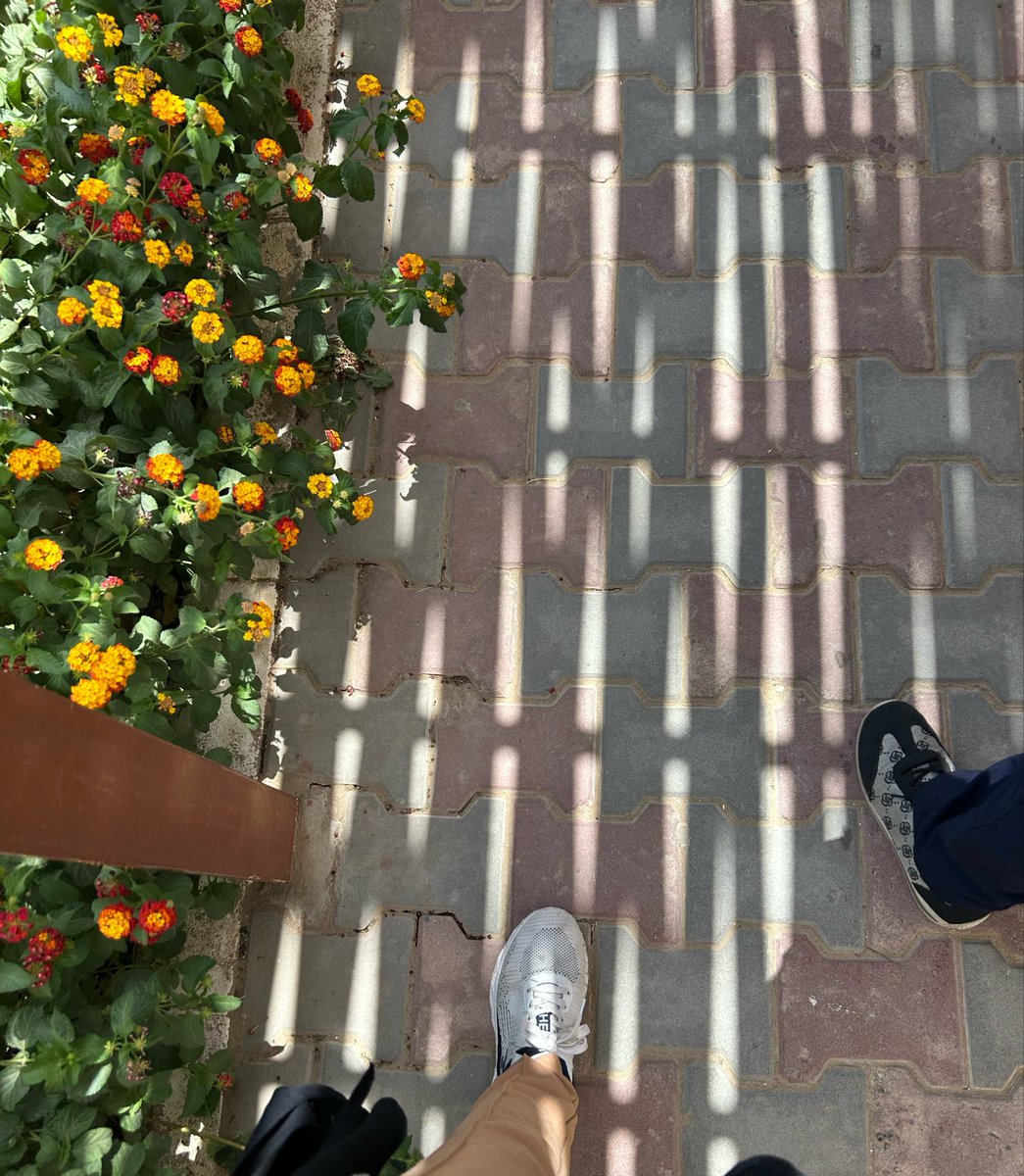 pt_ghadeer's tweet image. يوم الصحة العالمي في الكليات الصحية بالجموم👩🏻‍⚕️🩺

#AMSC_FAMS
#AMSC