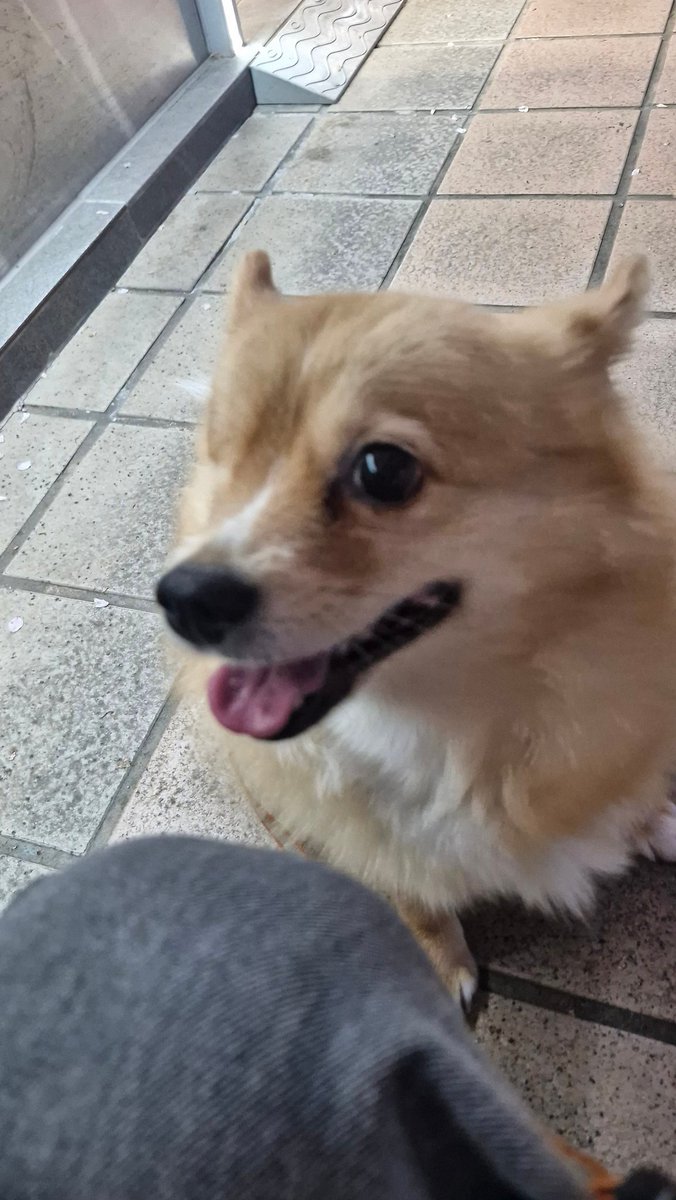 린부기 tweet media