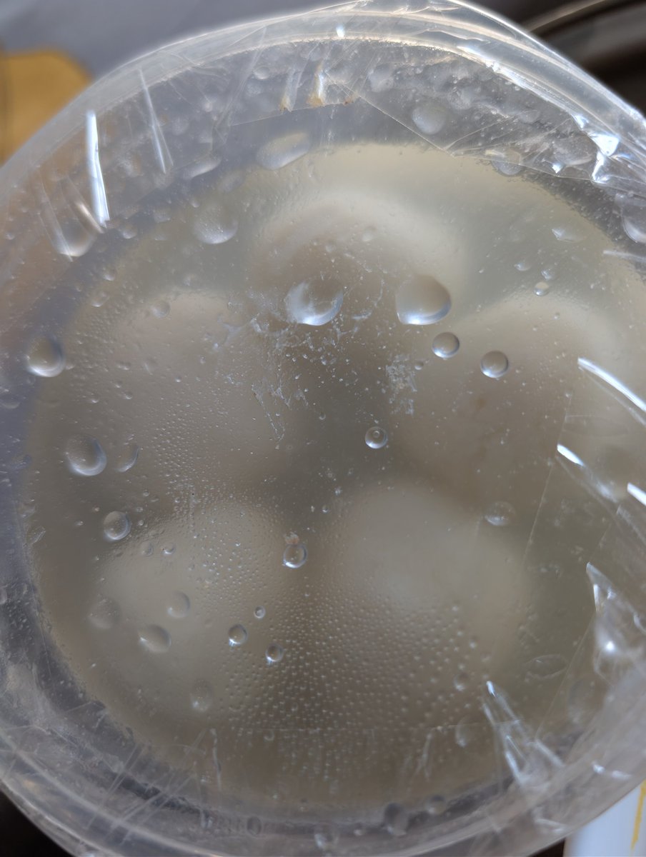 Sheebanaaz's tweet photo. .@zomato I ordered 500g Mishti Doi but received 125g + 5 Rasgullas instead. Shared clear photos on chat but your team says they “can’t verify.” This is incorrect &amp; unacceptable. Please resolve and issue refund immediately. Order ID: 7985081783 https://t.co/o5yp3bfci9