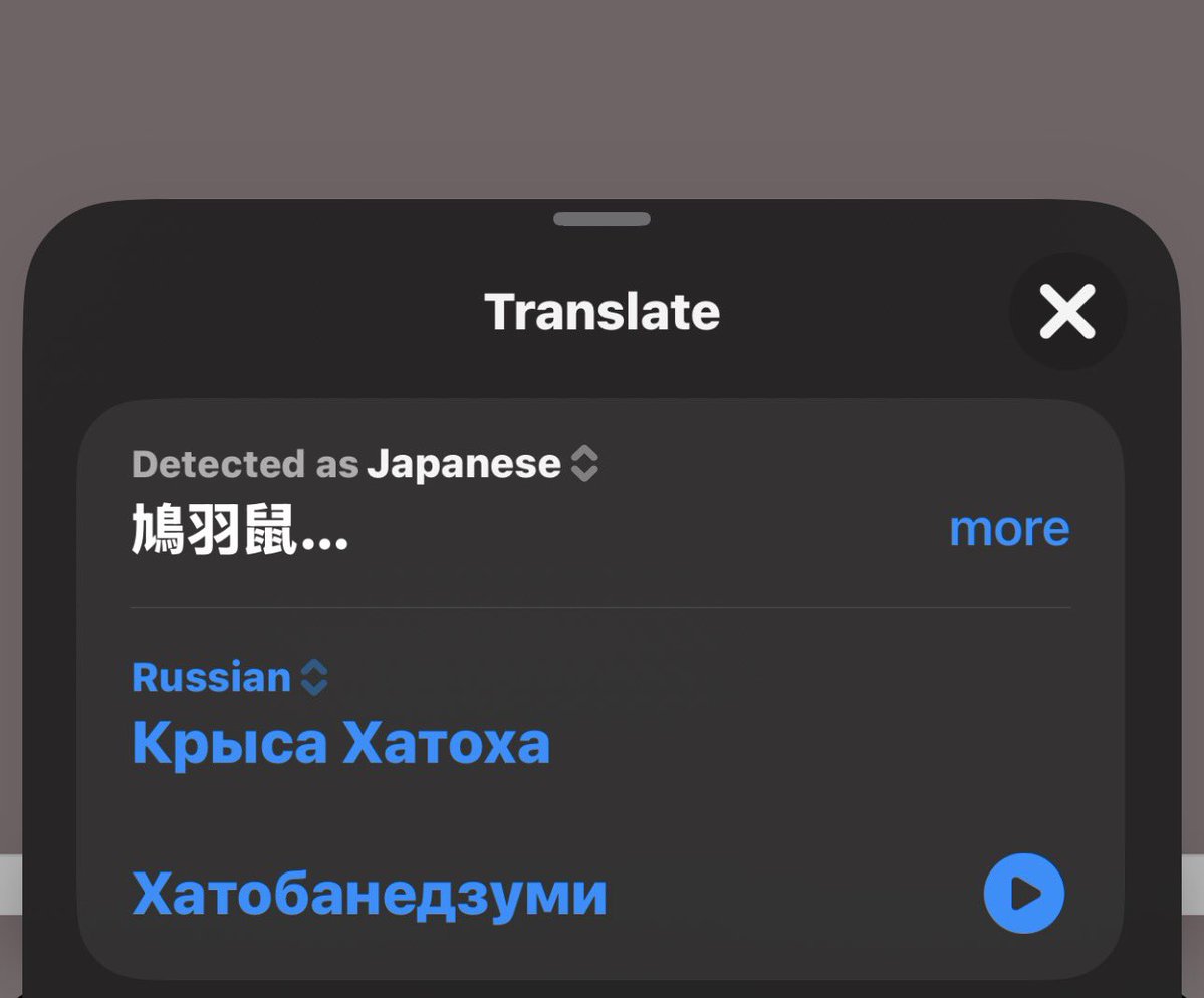 буб 🦅рест tweet media