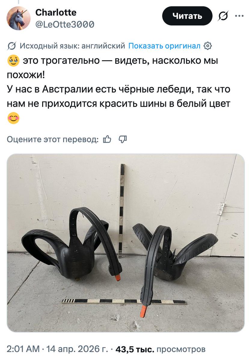 ивус tweet media