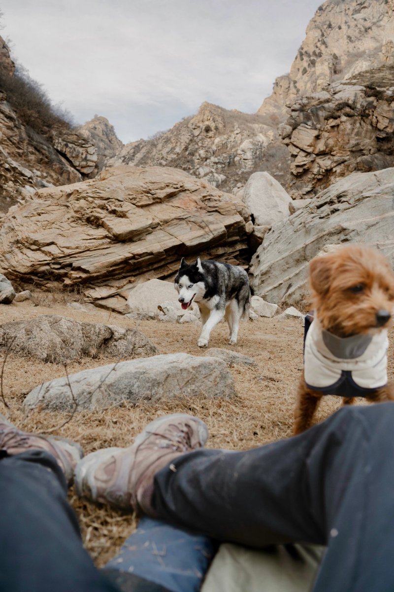 Aoffy Bobbie Freedom tweet media