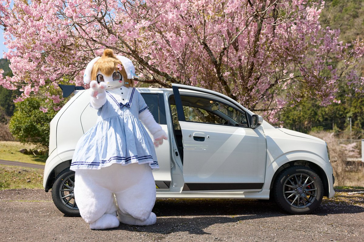 さくら はる🌸 tweet media