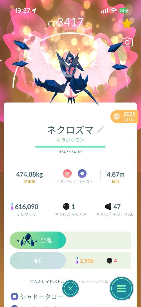 まと(ミミ) tweet media