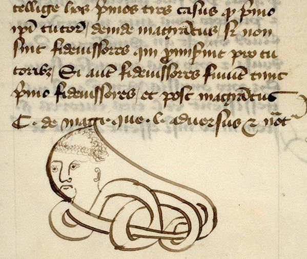 Vatanabeus tweet media