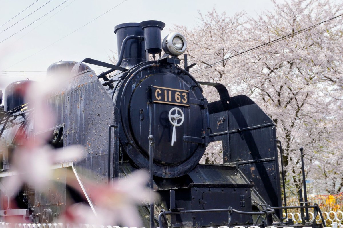🍶呑みテツ🚃みやちゃん tweet media