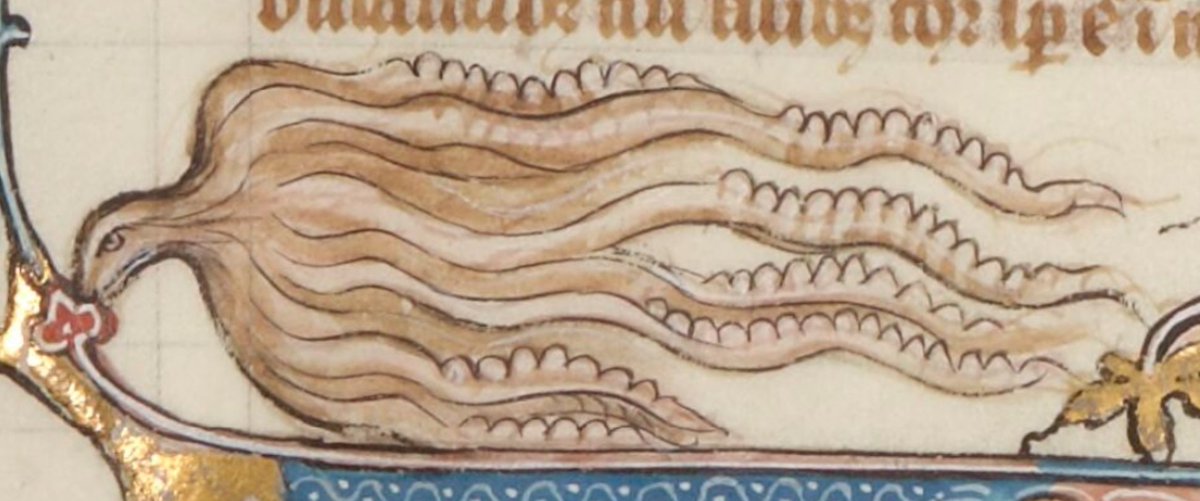 Vatanabeus tweet media