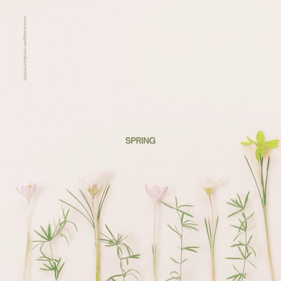 minozleeminhobr's tweet image. Primavera🌱

Abril trouxe um espírito de juventude a tudo.

-William Shakespeare-

Get @reshare_app • @promiz2014 Thanks 🌷

Spring🌱

April hath put a spirit of youth in everything.
-William Shakespeare-

#프로미즈 #PROMIZ #PMZ