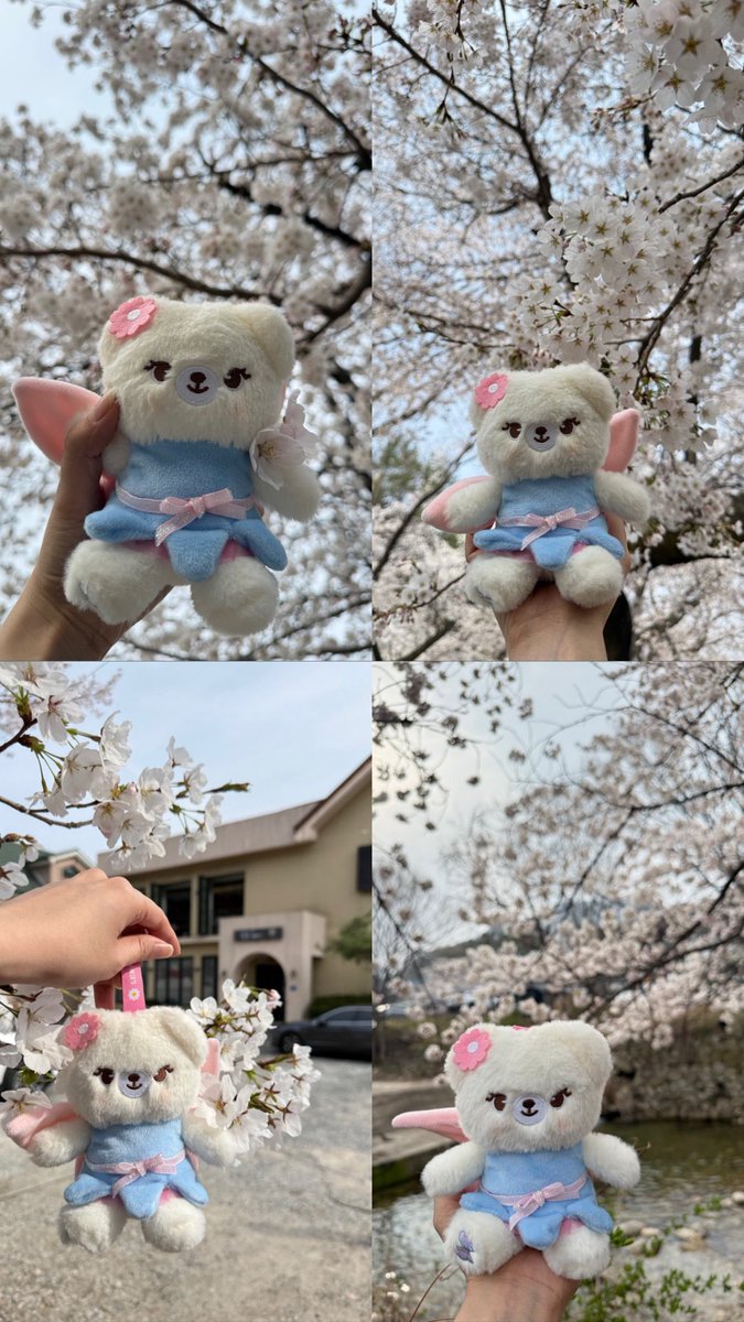 ✎ᝰ. 𝐾𝑎𝑛𝑜𝑚𝑦𝑒𝑙𝑙𝑦’𝑠 ₊˚⊹♡ tweet media