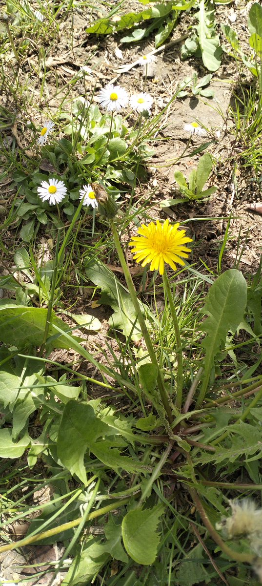 .valz |-/✨ PRINTS ON SALE ✨ tweet media