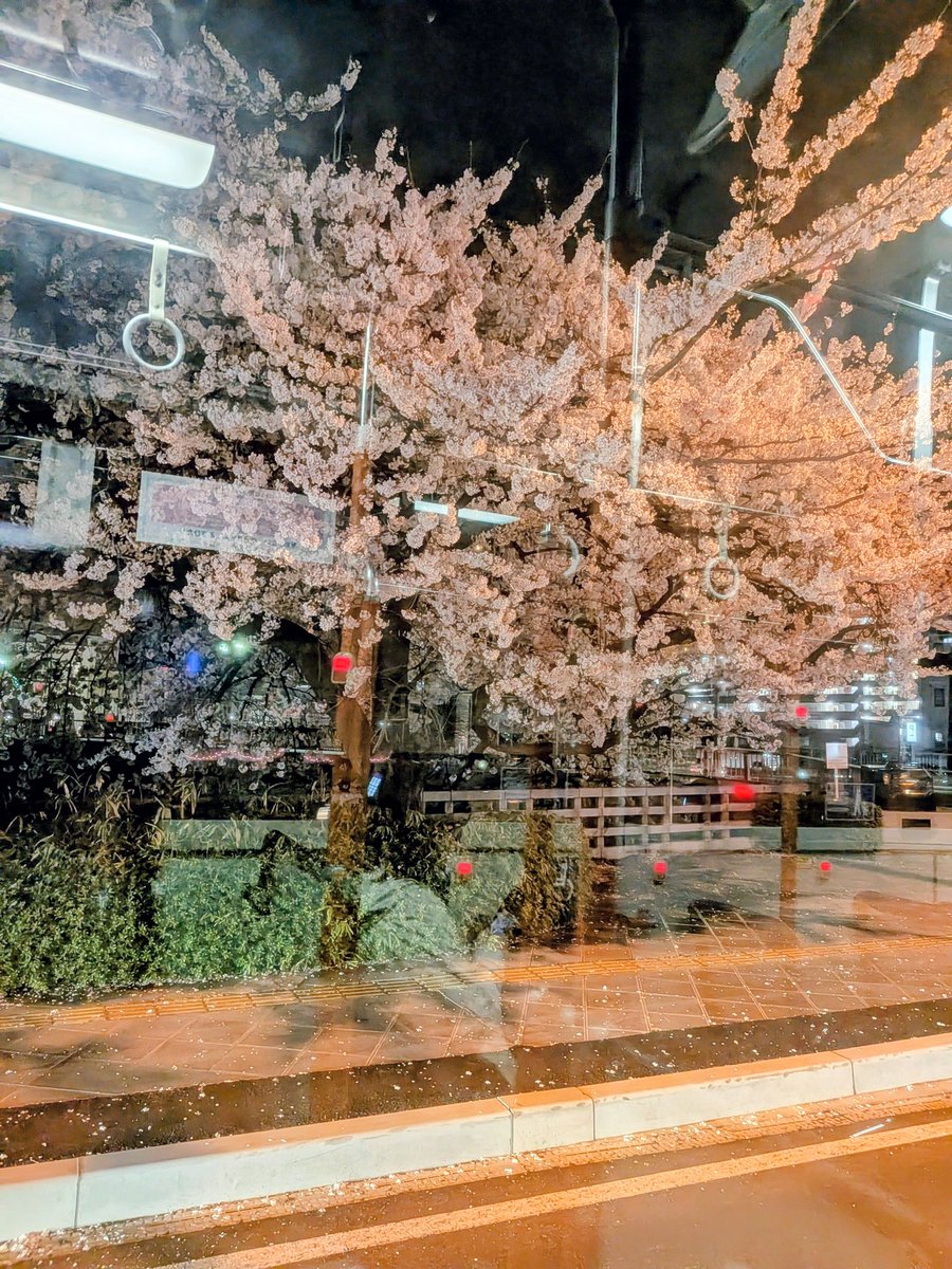 ribbon🎀 tweet media