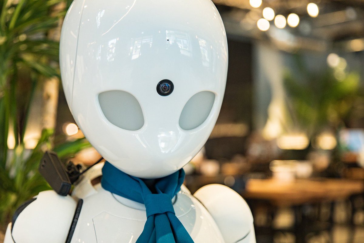 おはようございます😊

本日、DAWNは定休日となっており、OriHimeたちも休息をいただいています😌
また明日より、皆さまと元気にお会いできるのを楽しみにしております✨

#分身ロボットカフェ
#BunshinRobotCafe