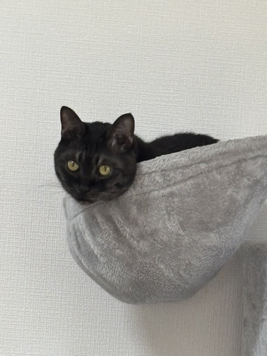 369ちゃん tweet media