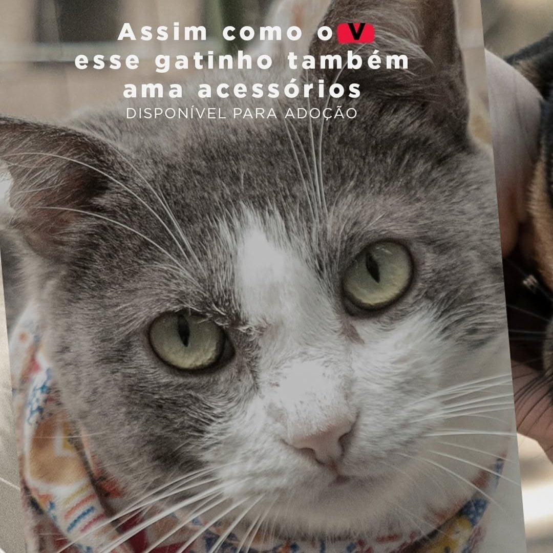 loh⁷ ★ VAI VER O BTS tweet media