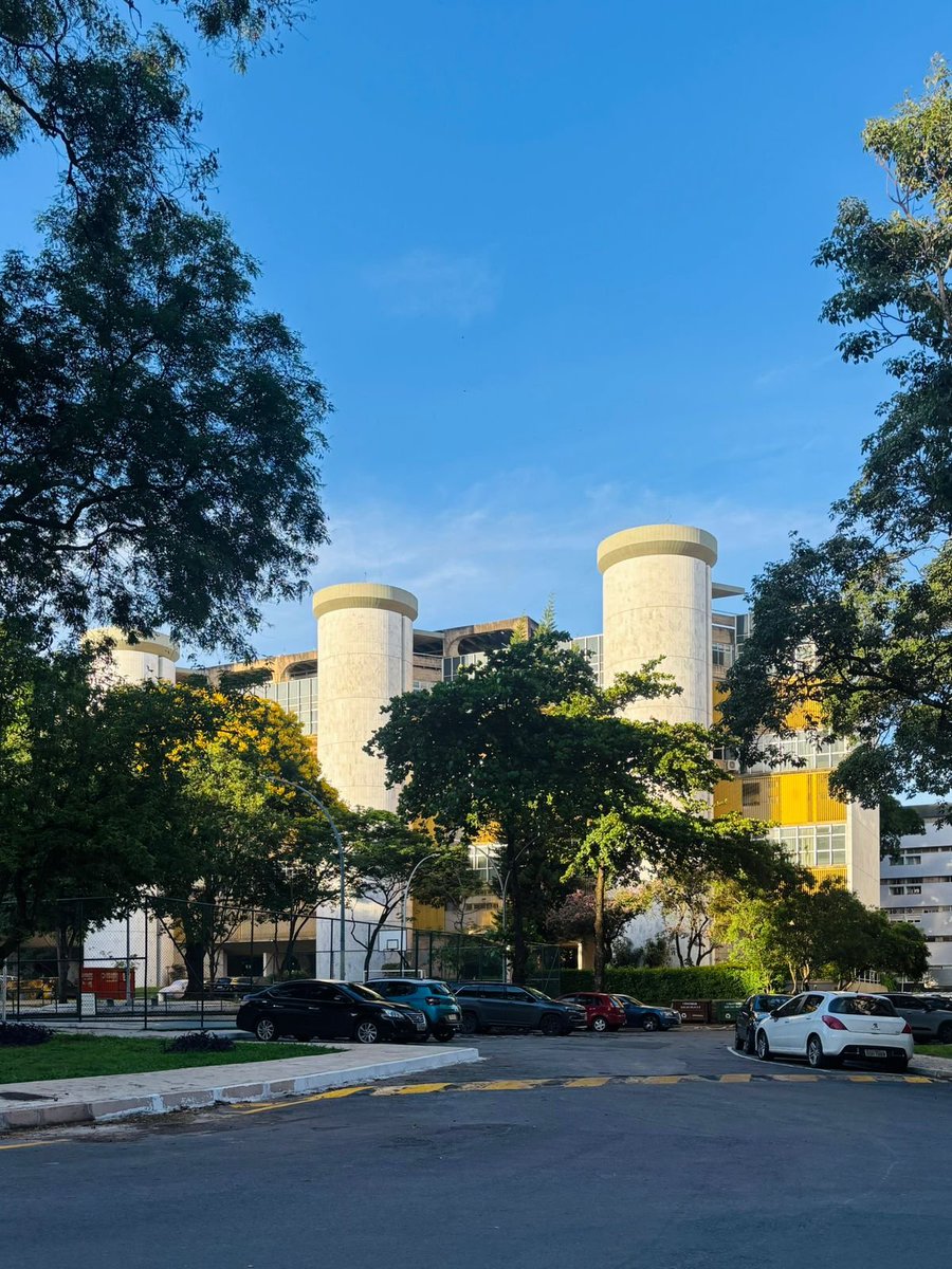 matheus carvalho tweet media