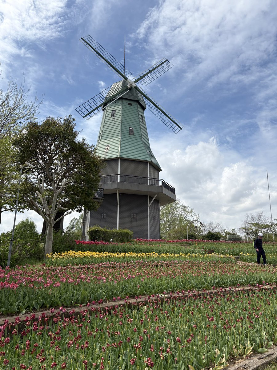 s_lo_up's tweet photo. 霞ヶ浦総合公園、チューリップ は見頃すぎてしまったけど八重桜綺麗だった🌸この遊具は遊べるのだいぶ先だと思って遊んだことなかったけど、小さい方の滑り台は自分で登って滑るしジャングルジムも挑戦していて成長を感じた😃空いてる日は良いね✨ https://t.co/GZDpHQYi8S