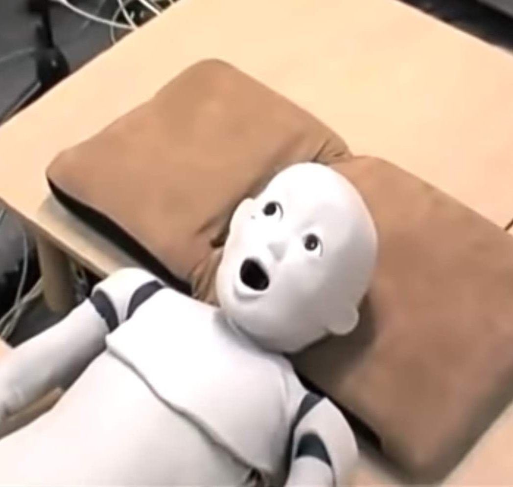 Rin Pin 🐸🐍 tweet media