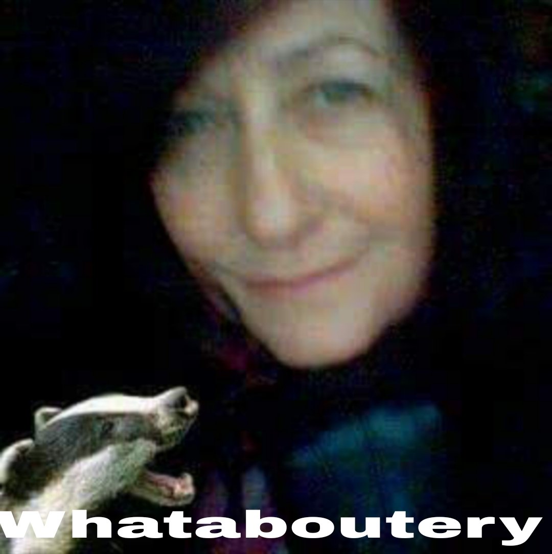 Diana II 🦡 🦊 📻 dancing on the ledge 👣 tweet media