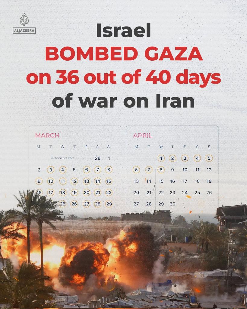 Abdifatah II tweet media