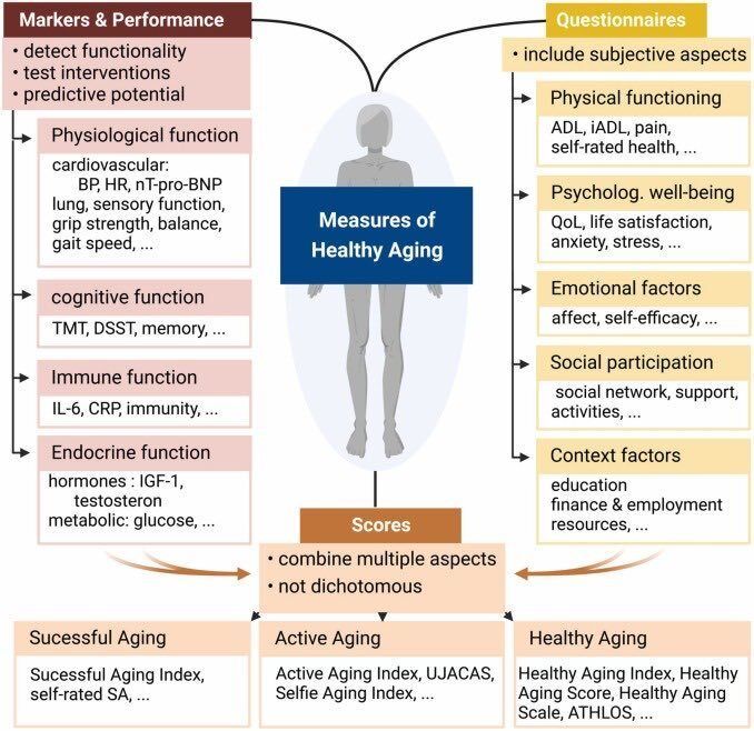 MoAImam's tweet image. 60 years of healthy ageing👉🏼definitions, biomarkers, scores and challenges

Measures of healthy ageing👇🏼

#ageing #health 

sciencedirect.com/science/articl…