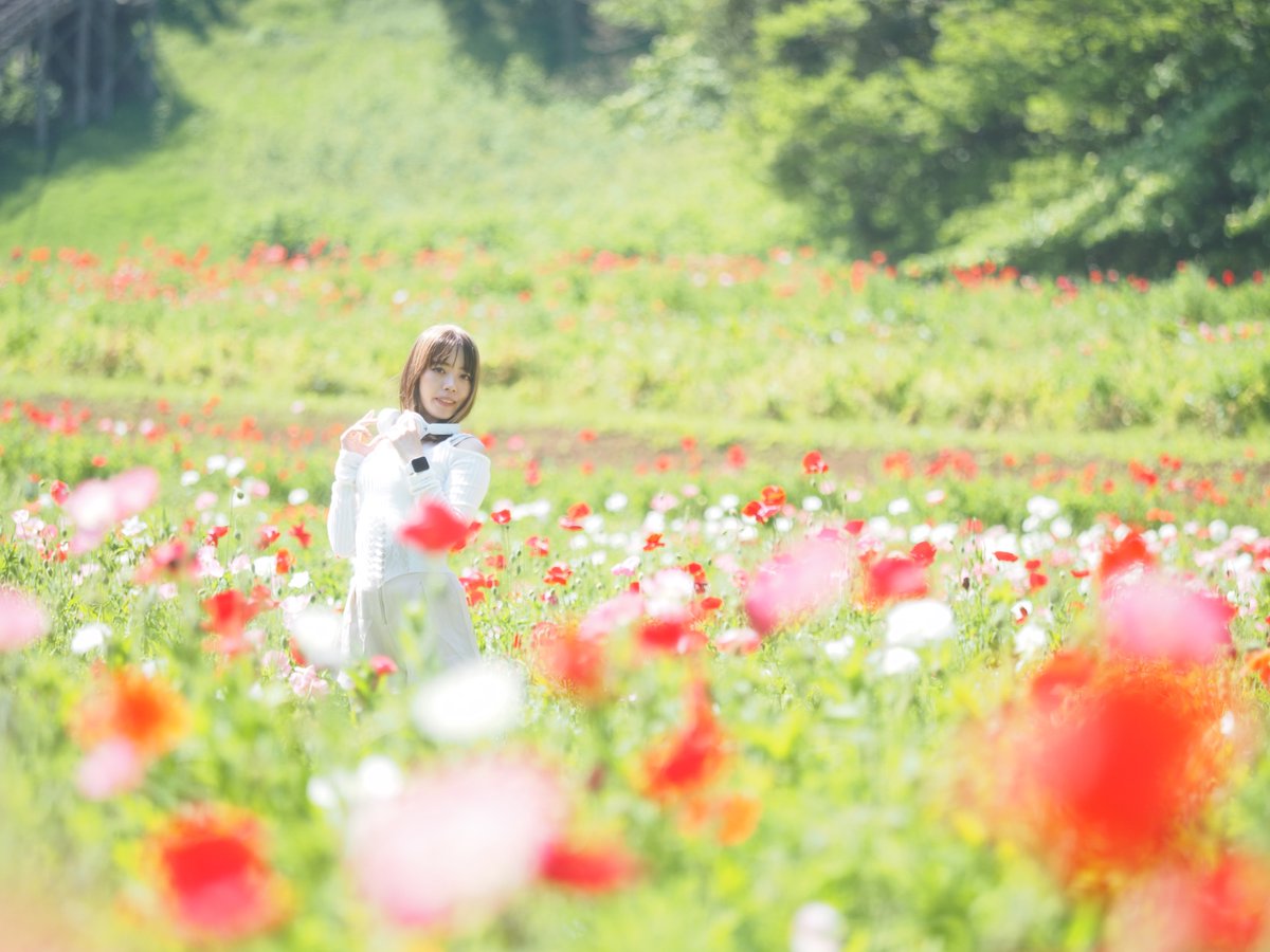 damefkin's tweet image. SoLaちゃんでこんにちは

#SoLa 
@Sola_144 
#ポートレート
#Portrait 
---
ステップアップポートレートWS
「初夏のお花でポートレートを撮ろう！」

2026/5/5(火)
①10:30-12:00(残6)
②13:30-15:00(残6)
③プレミアムレッスン(残1)

passmarket.yahoo.co.jp/event/show/det…