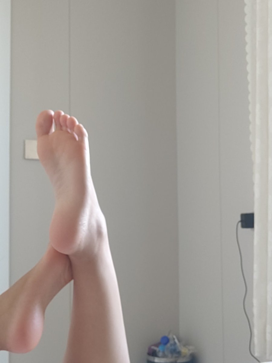 小狗观测日记 tweet media