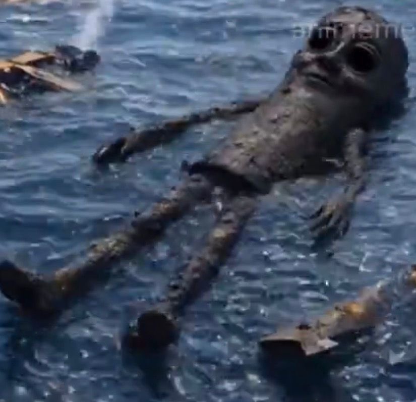 joao ͏͏ ͏͏ ͏͏ tweet media