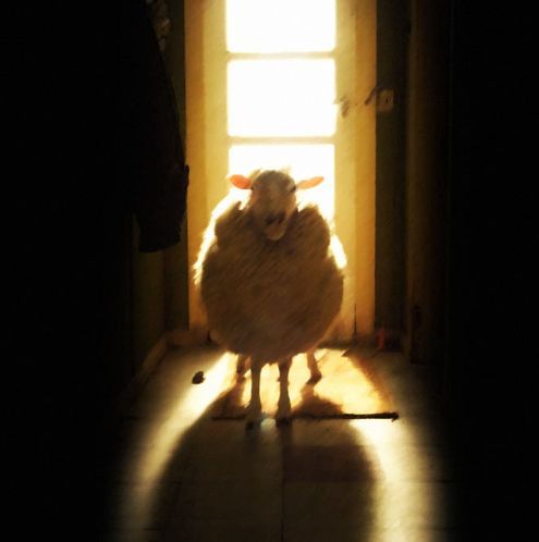 EP_Sheepie's tweet image. LIVE IN 5! NEW CREEPY EP! CAN I INTEREST YOU IN A SPOOP? YouTube: buff.ly/pbpGiYl / Twitch: buff.ly/OX7heOg #vtuber #epsheepie #mystery #detective #seanceofblakemanor #spooky #spoopy #pointandclick #puzzlegame