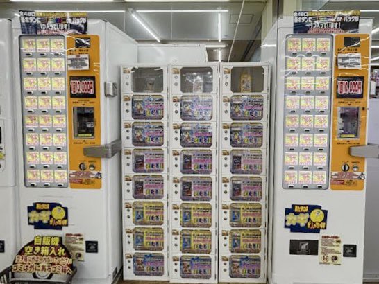 ✨️?⭐️✨️?⭐️✨️?⭐️✨️ 全48口?1回10000円? 完全 