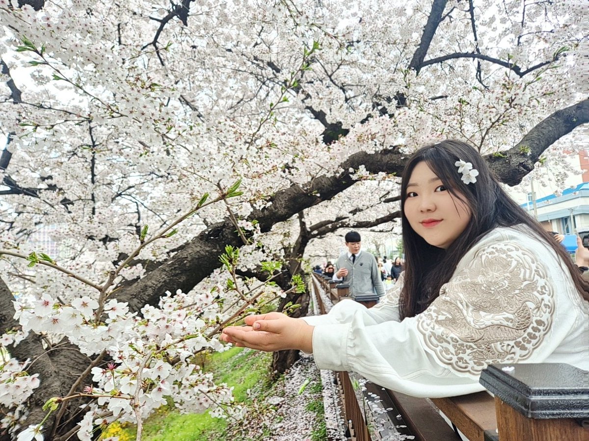 벚꽃구경 갔을 때! 백룡포 너무 예뻐🌸🤍