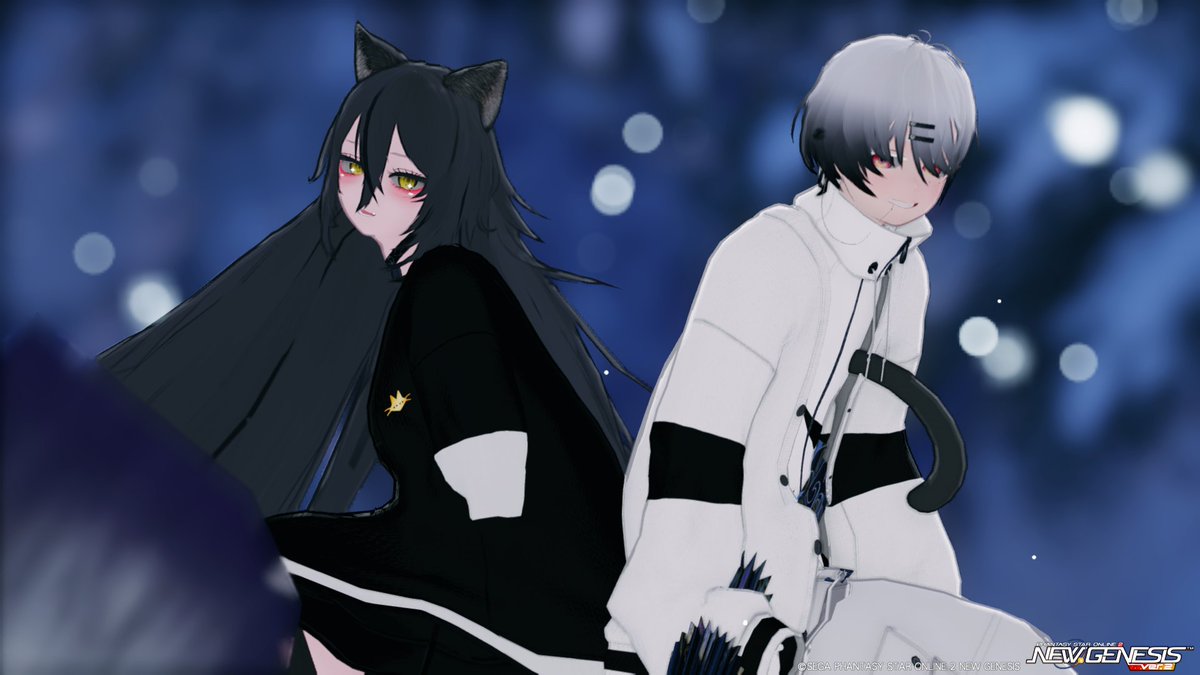 はーちゃん(🧝♀️)【PSO2】 tweet media