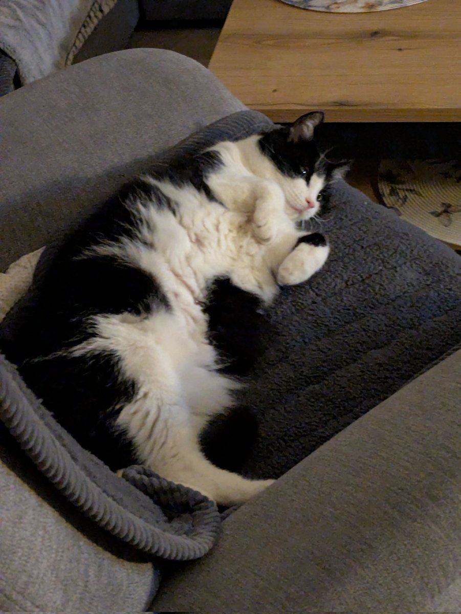 Lydia_Lipsia tweet media