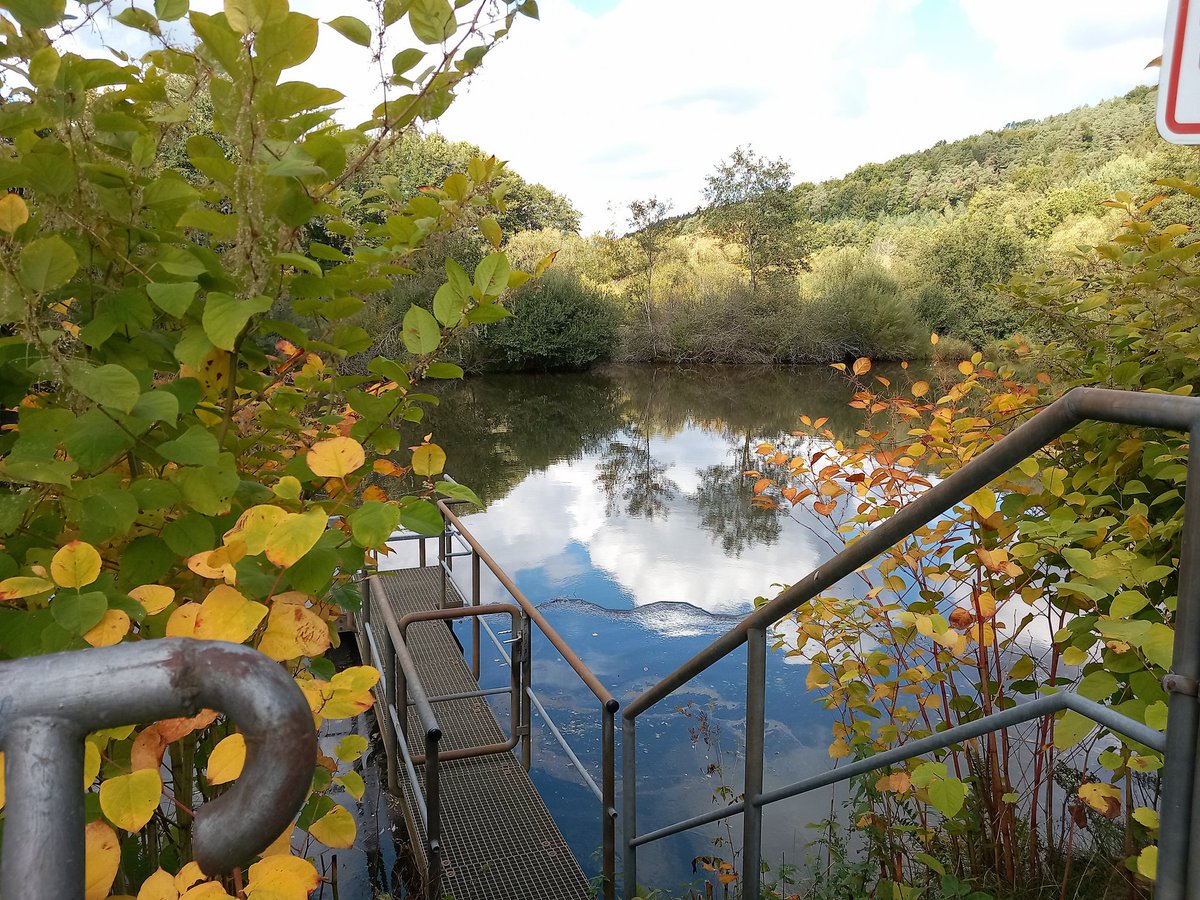 CateTFD🧚🐉 tweet media