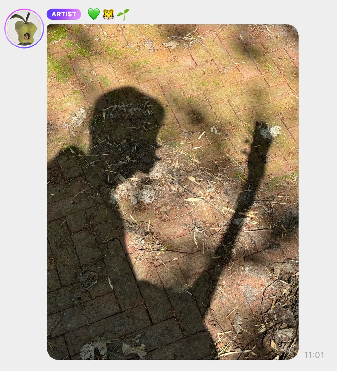 •마해유나이티드• tweet media