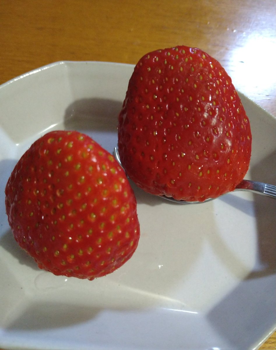 日越🐶@ヨーコ🐒🍓も栃木魂🔥 tweet media